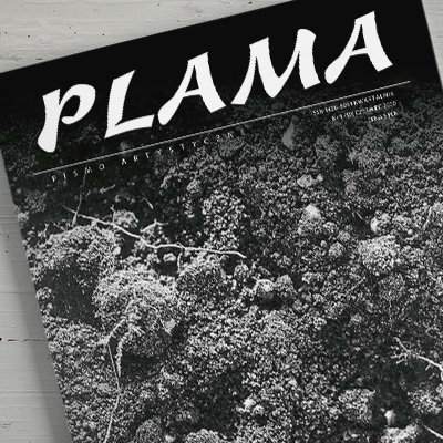 layout, skład, dtp czasopisma Plama